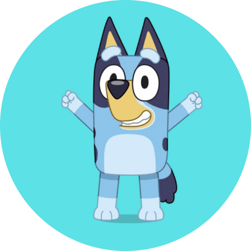 Bluey themed kids party collection