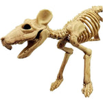 Skeleton rat Halloween decoration prop, body detail