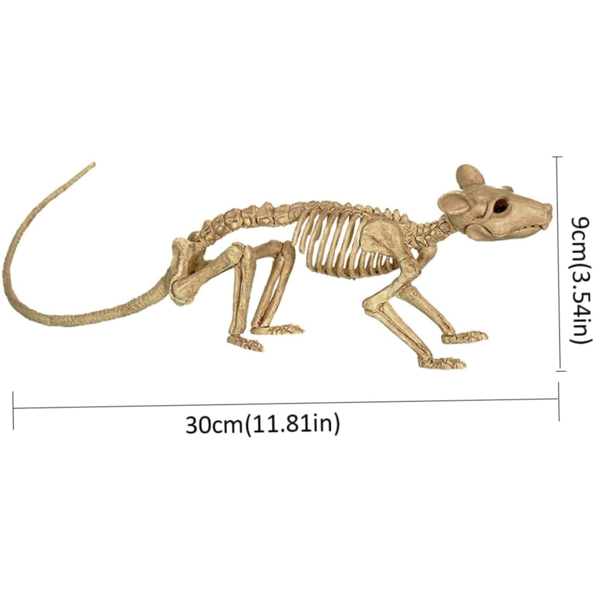 Skeleton rat Halloween decoration prop, size guide