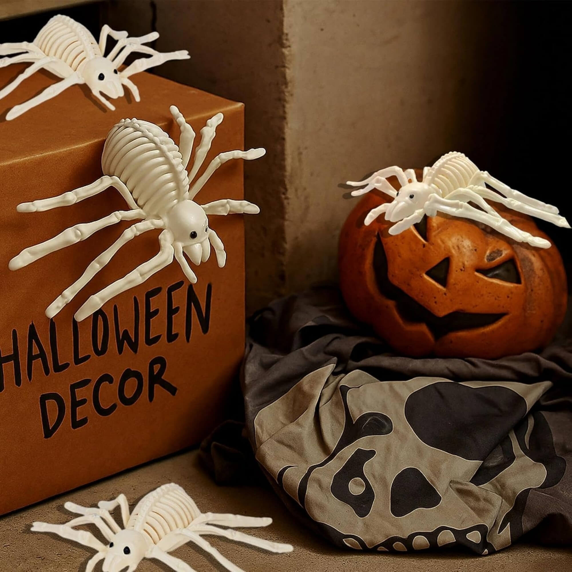 Skeleton spider Halloween decoration prop, styled scene