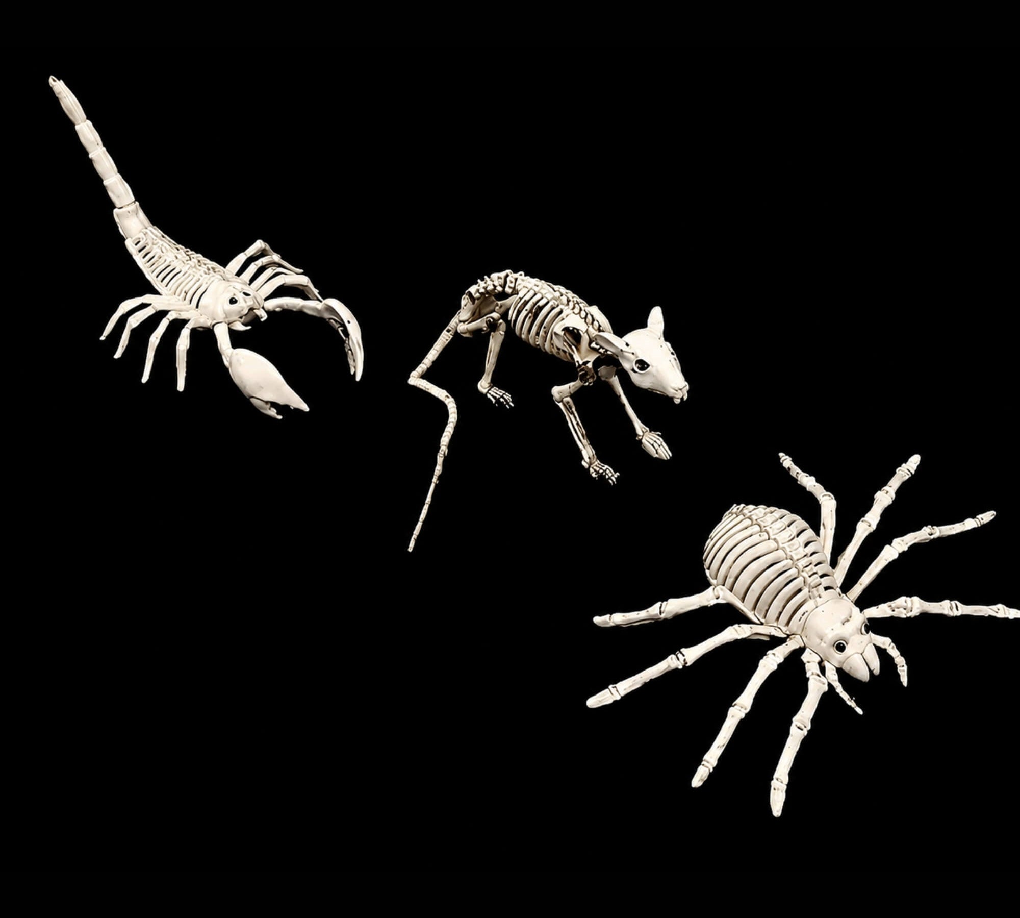 Skeleton animal Halloween decoration props