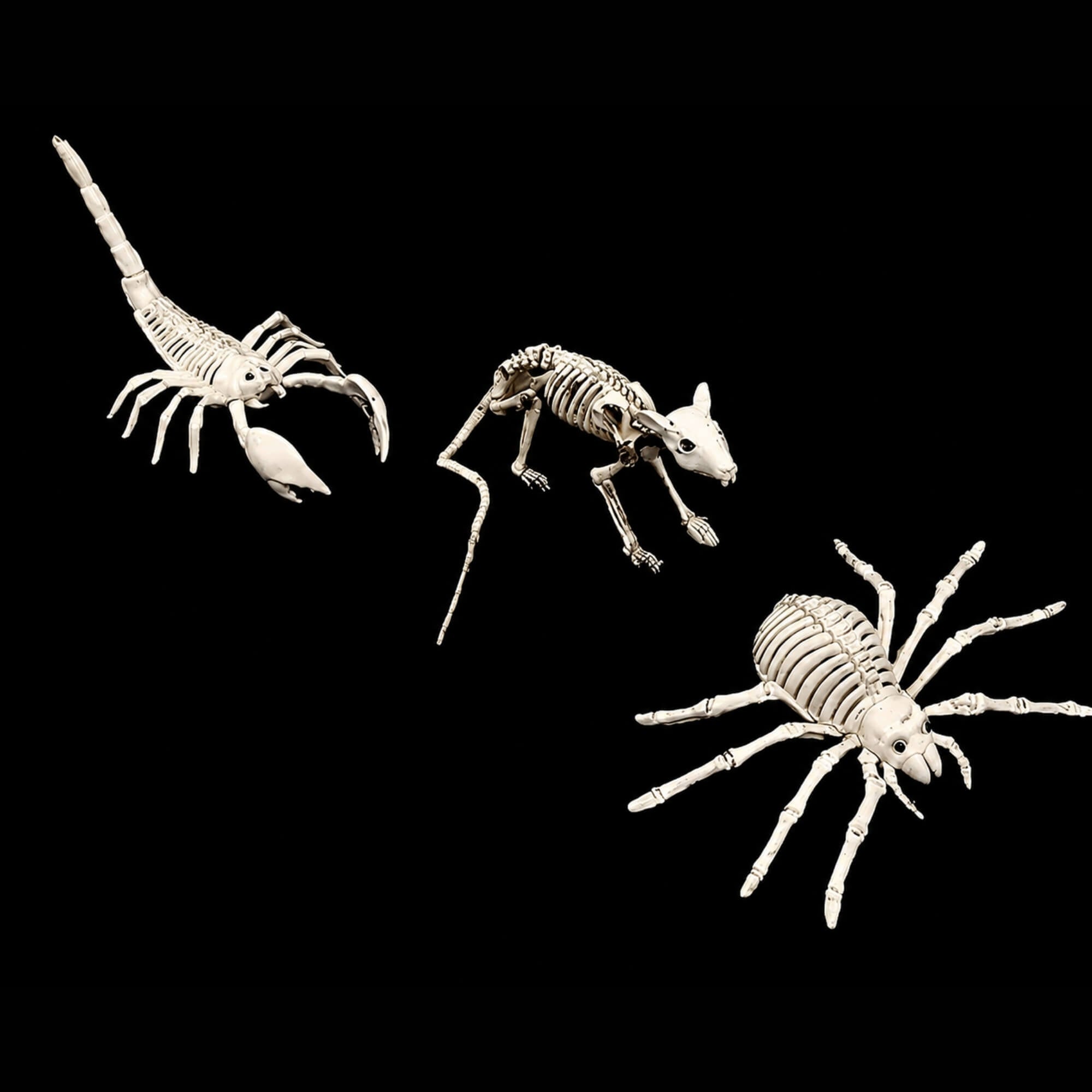 Skeleton animal Halloween decoration props