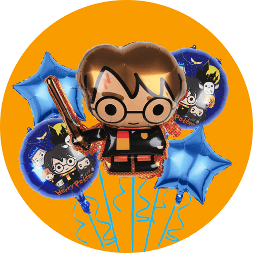 Harry Potter themed kids party collection